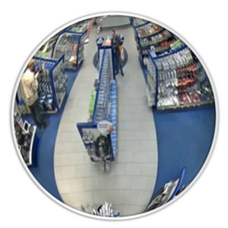 Зеркало безопасности обзорное DetexLine 510 мм с белым кантом