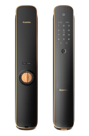 Электронный биометрический замок Kaadas K13W Gold, врезной