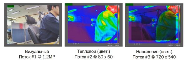 Тепловизионная двухсенсорная IP-видеокамера IDIS DC-TH2011