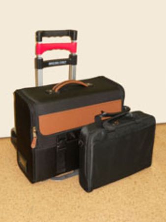 Рентгеновское устройство досмотра полостей Феникс