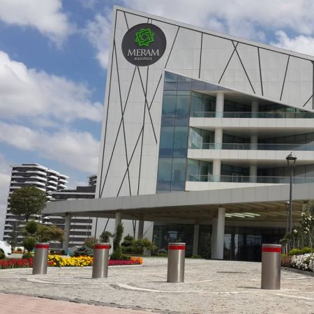 Блокиратор автоматический выдвижной Came TBD 220H600, 3 болларда