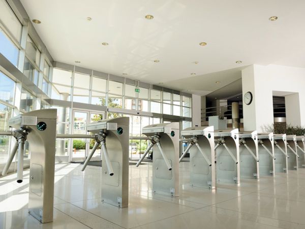 Турникет-трипод моторизованный Came Stile 600 (с планками) (PSMM602E-01)