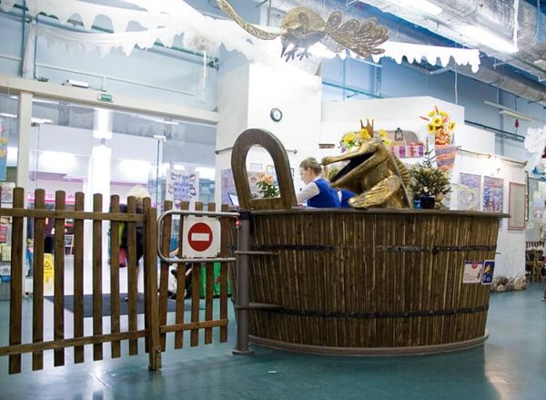 Калитка электромеханическая без привода PERCo WHD-05R (створка 650 мм)