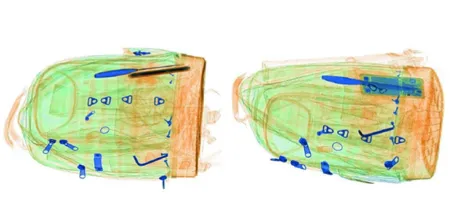 Интроскоп SDT-6550S, 3D проекционный Интроскоп SDT-6550S, 3D проекционный